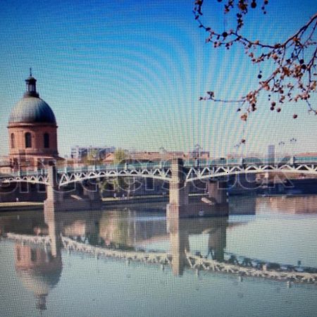 Le Saint Cyp - Toulouse - Appart Entier Cosy Et Au Calme, Proche Du Metro Экстерьер фото